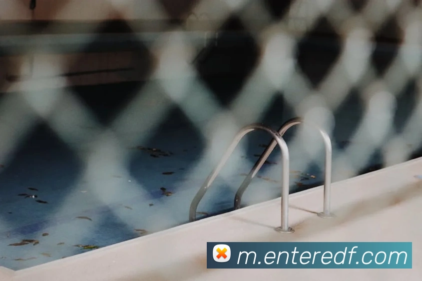 巅峰国际APP 封面图